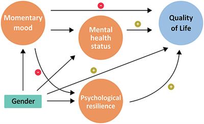 Ecological Momentary Mood, Resilience, and Mental Health Status as Predictors of Quality of Life Among Young Adults Under Stress: A Structural Equation Modeling Analysis
